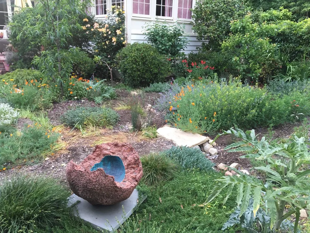Expert yard maintenance in Santa Barbara, CA - Regenerative Landscape Alliance
