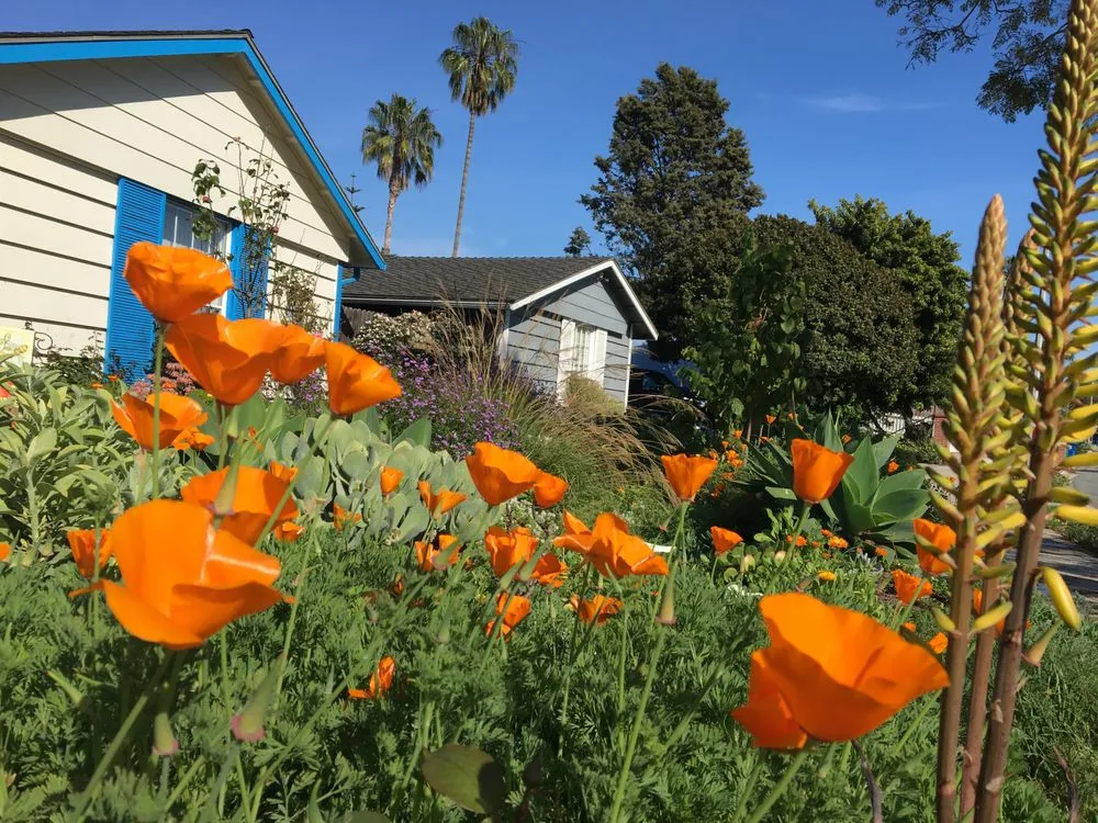 Professional landscape installation in Santa Barbara, CA - Regenerative Landscape Alliance