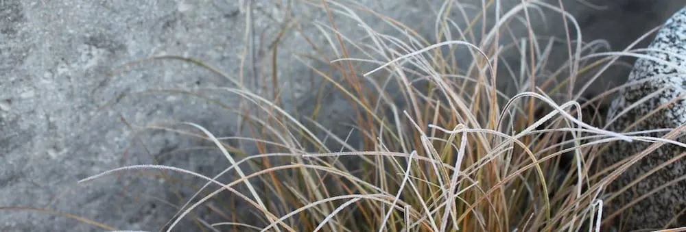 Expert residential landscaping experts serving Ashland, OR - Regenesis Ecological Design