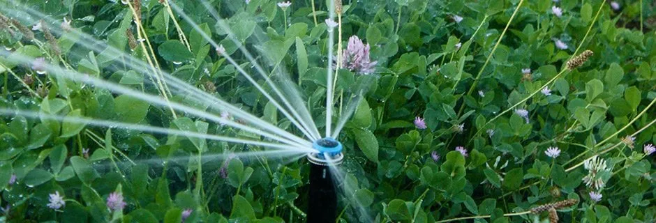 Local landscape installation for beautiful yards in Ashland, OR by Regenesis Ecological Design
