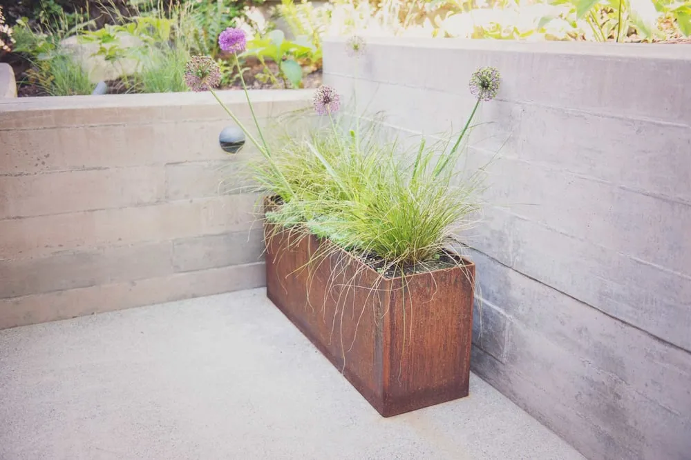 Trusted yard cleanup service experts serving Ashland, OR - Regenesis Ecological Design