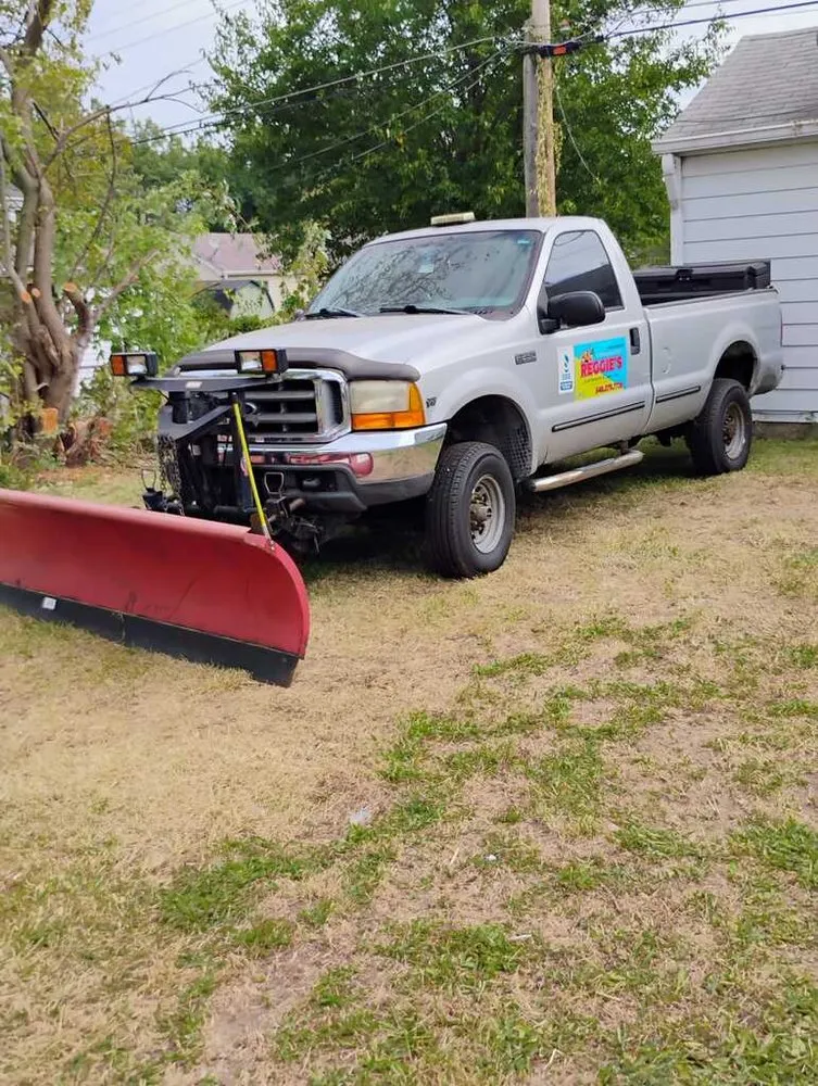 Trusted yard maintenance experts serving Indianapolis, IN - Reggie Junk Removal & Lawn Care