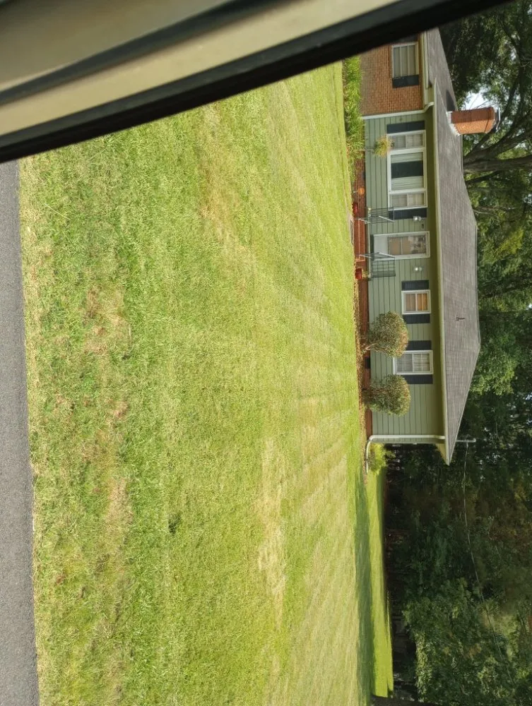 Local landscaping services experts serving Chapel Hill, NC - Reggie's Landscaping