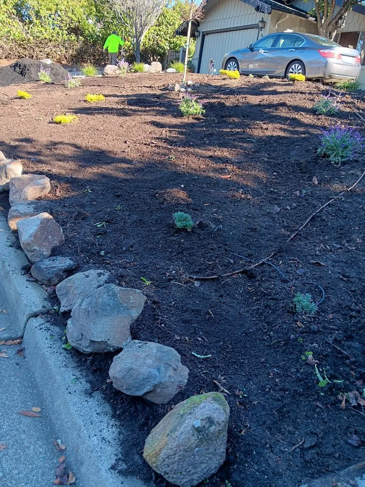Affordable yard maintenance in North Richmond, CA by Reggie's Landscaping
