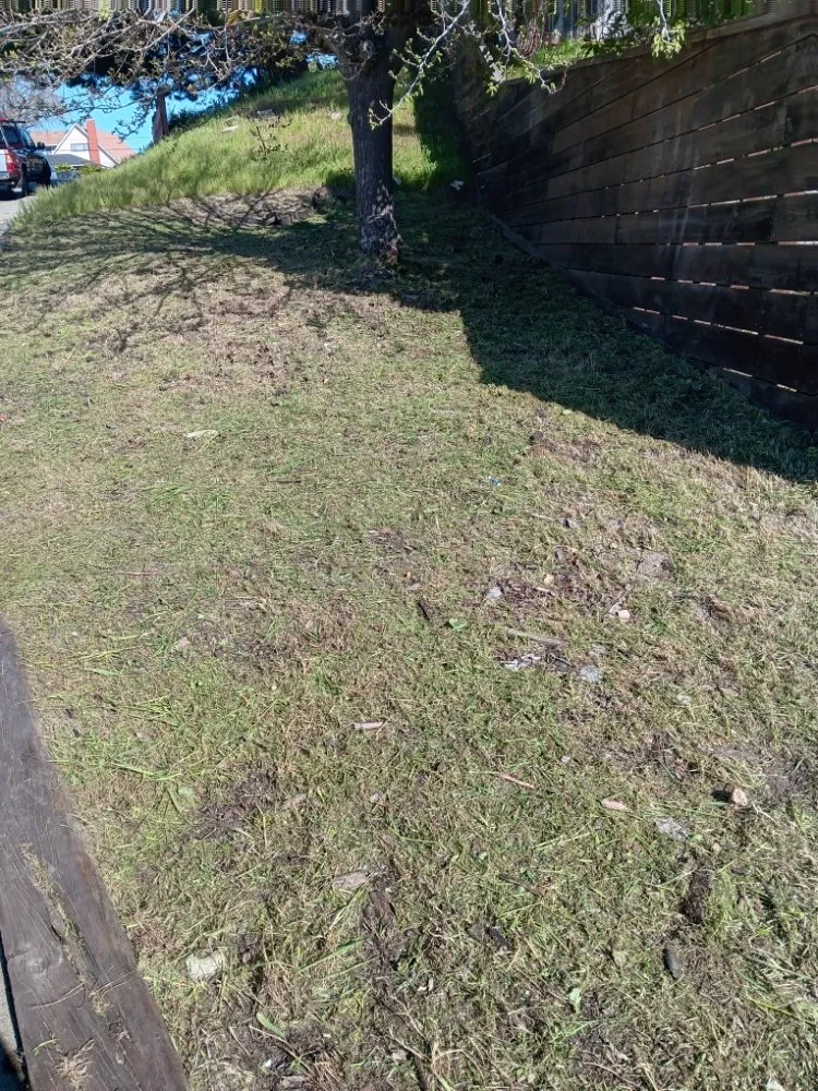 Reliable lawn mowing service in North Richmond, CA by Reggie's Landscaping