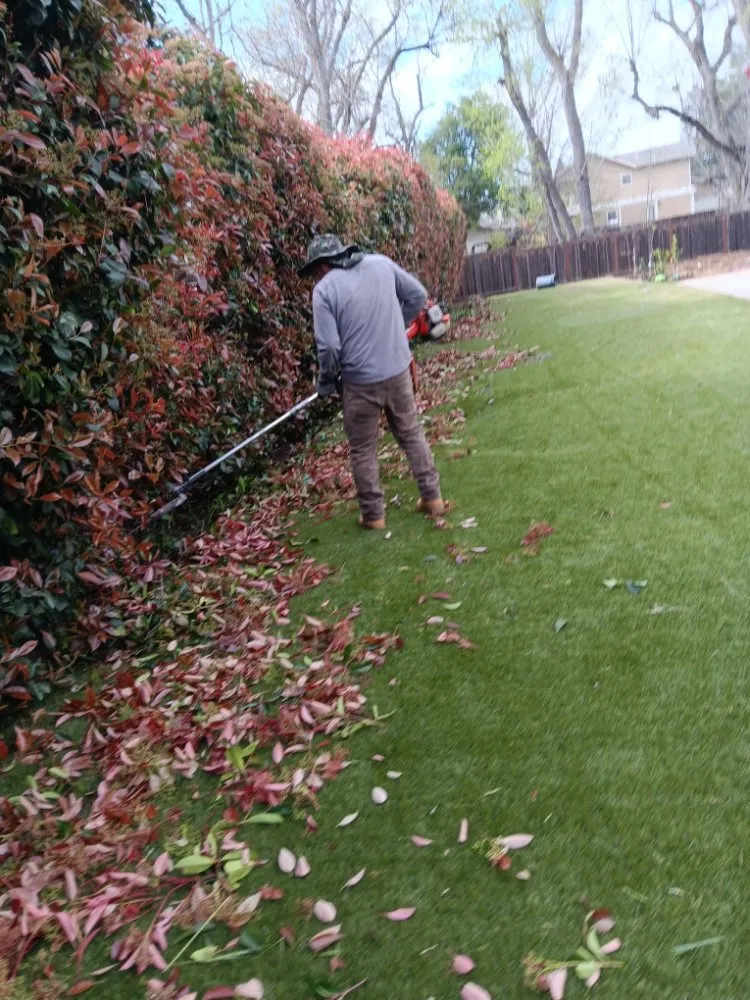 Custom yard maintenance for year-round maintenance across North Richmond, CA - Reggie's Landscaping