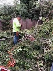 Professional landscape installation experts serving North Richmond, CA - Reggie's Landscaping