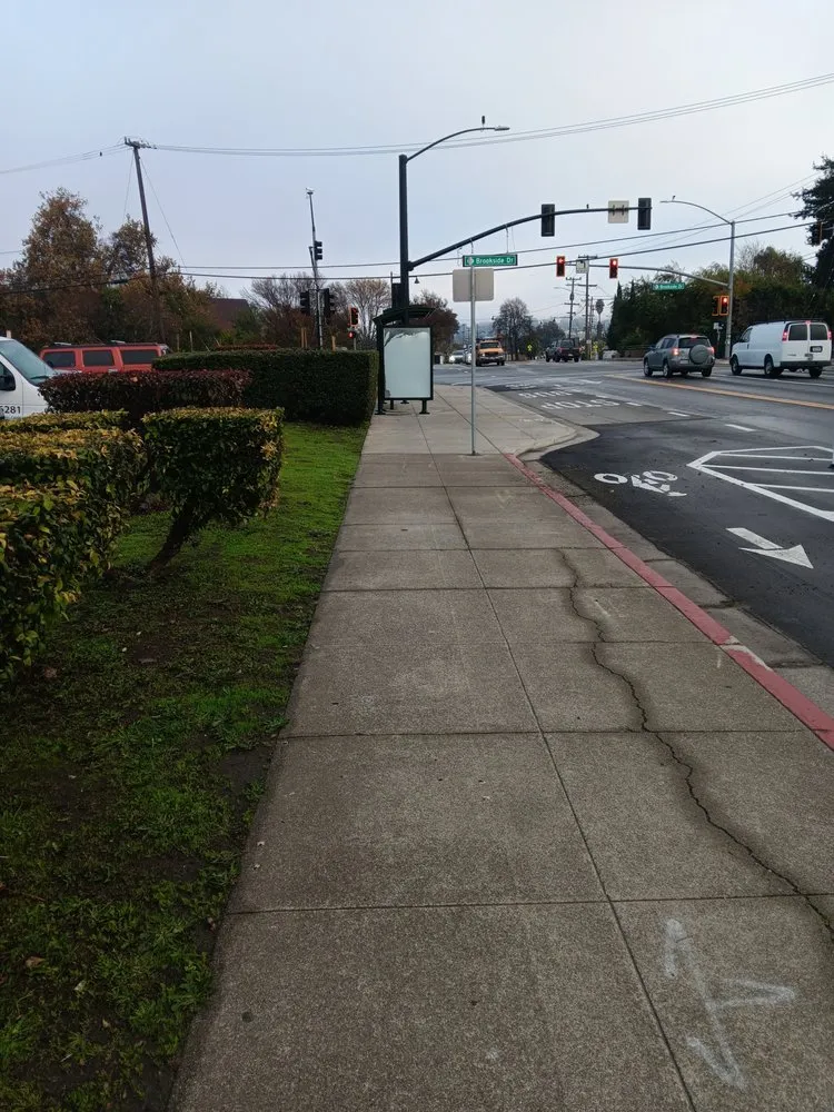 Reliable garden landscaping experts serving North Richmond, CA - Reggie's Landscaping