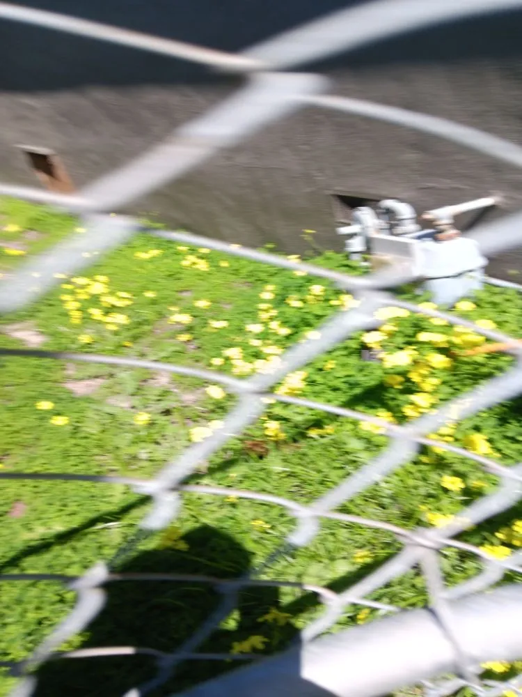 Affordable residential landscaping experts serving North Richmond, CA - Reggie's Landscaping