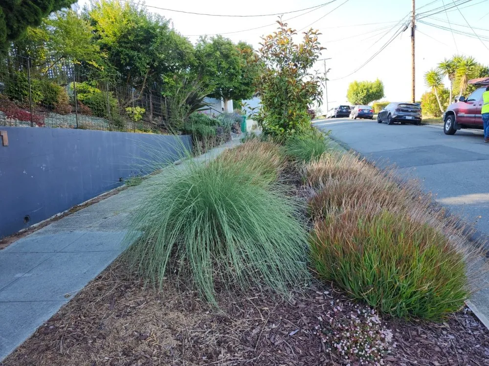 Professional outdoor landscaping experts serving North Richmond, CA - Reggie's Landscaping