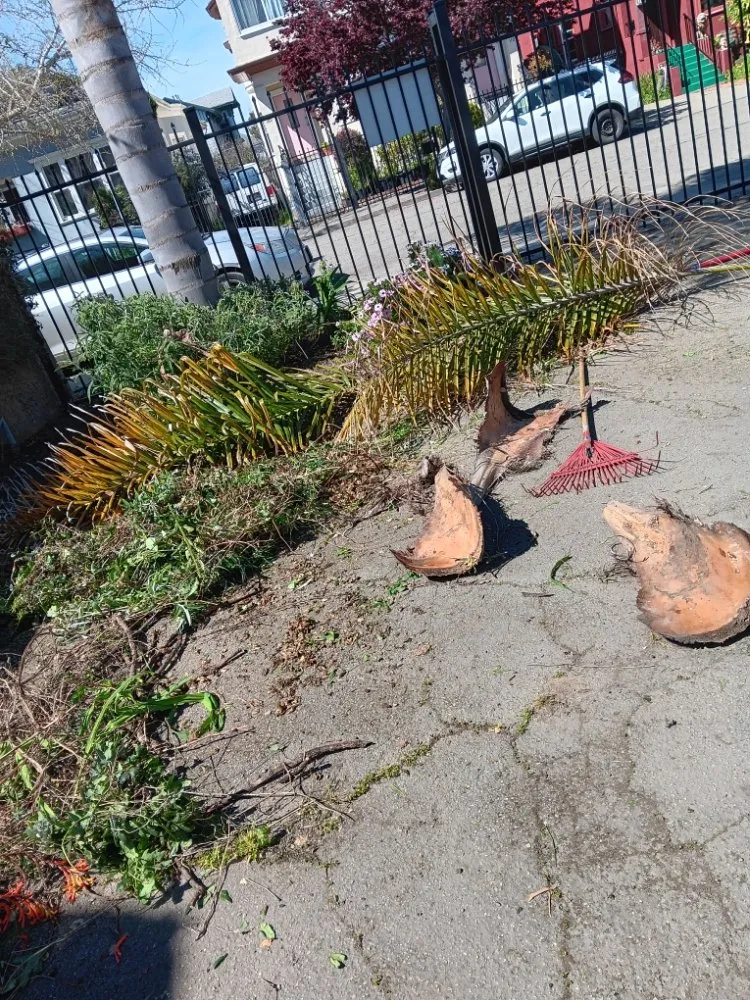 Reliable outdoor landscaping for residential properties in North Richmond, CA by Reggie's Landscaping