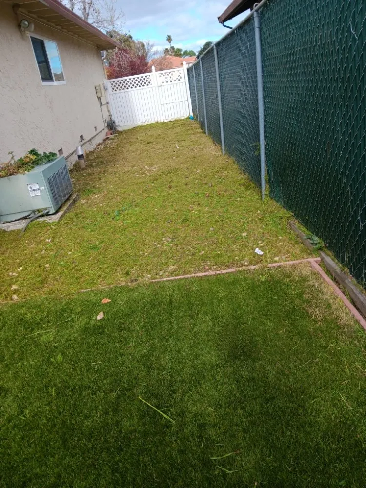 Top-rated yard maintenance for residential properties across North Richmond, CA - Reggie's Landscaping