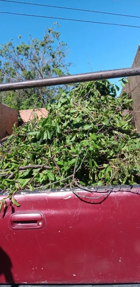 Trusted yard cleanup service for beautiful yards across North Richmond, CA - Reggie's Landscaping