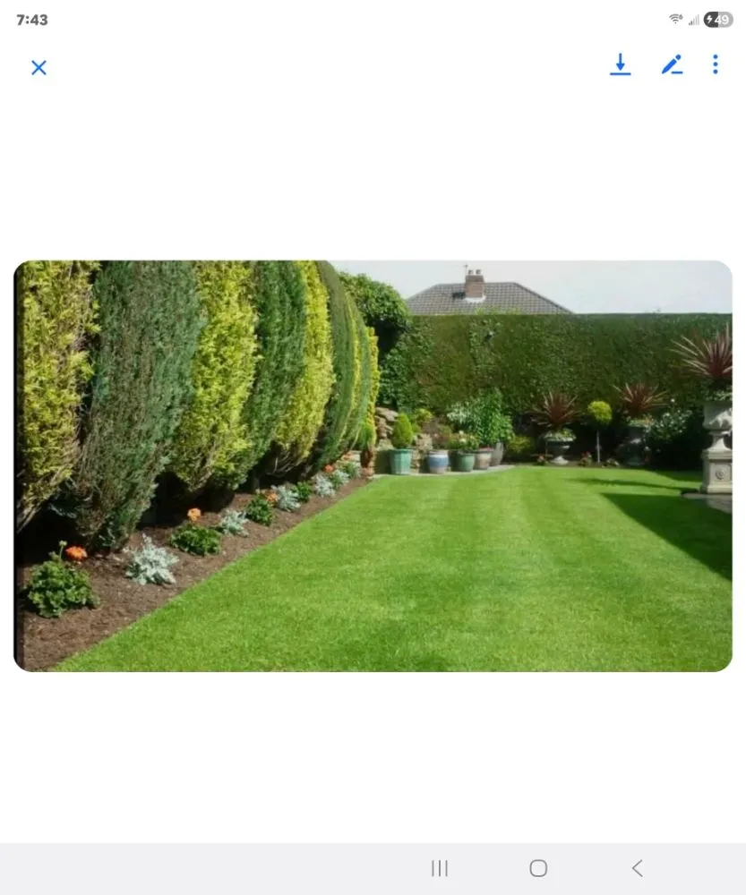 Expert landscaping services in Statesville, NC by Reggie's Lawn Care