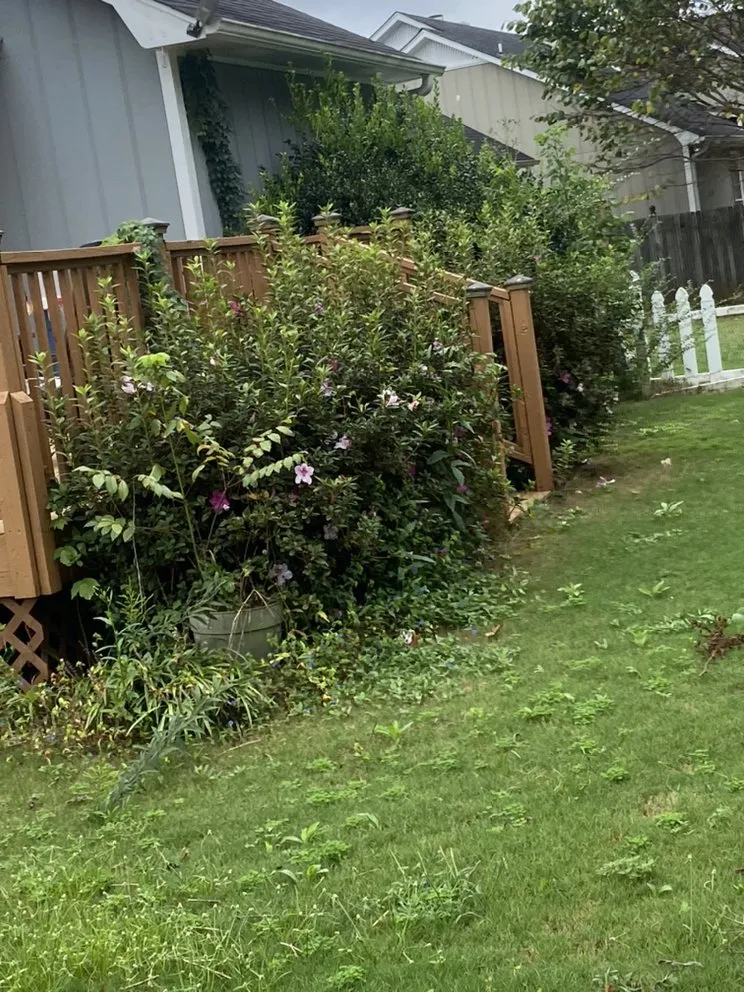 Top-rated yard maintenance for residential properties across Pinson, AL - Reginald D