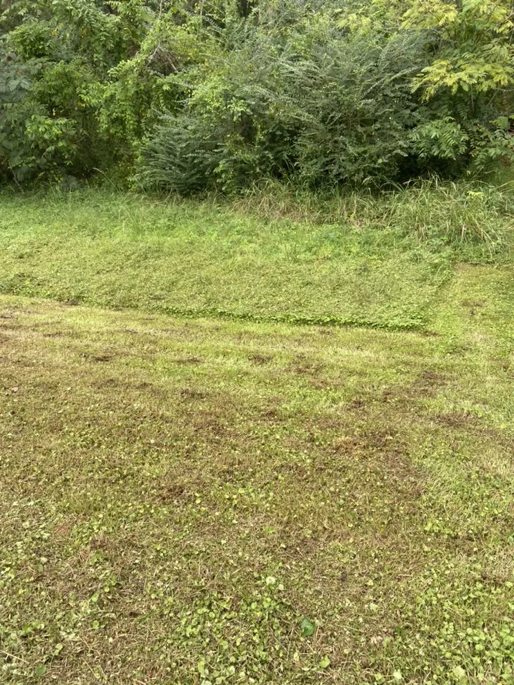 Affordable landscape design for homes across Pinson, AL - Reginald D