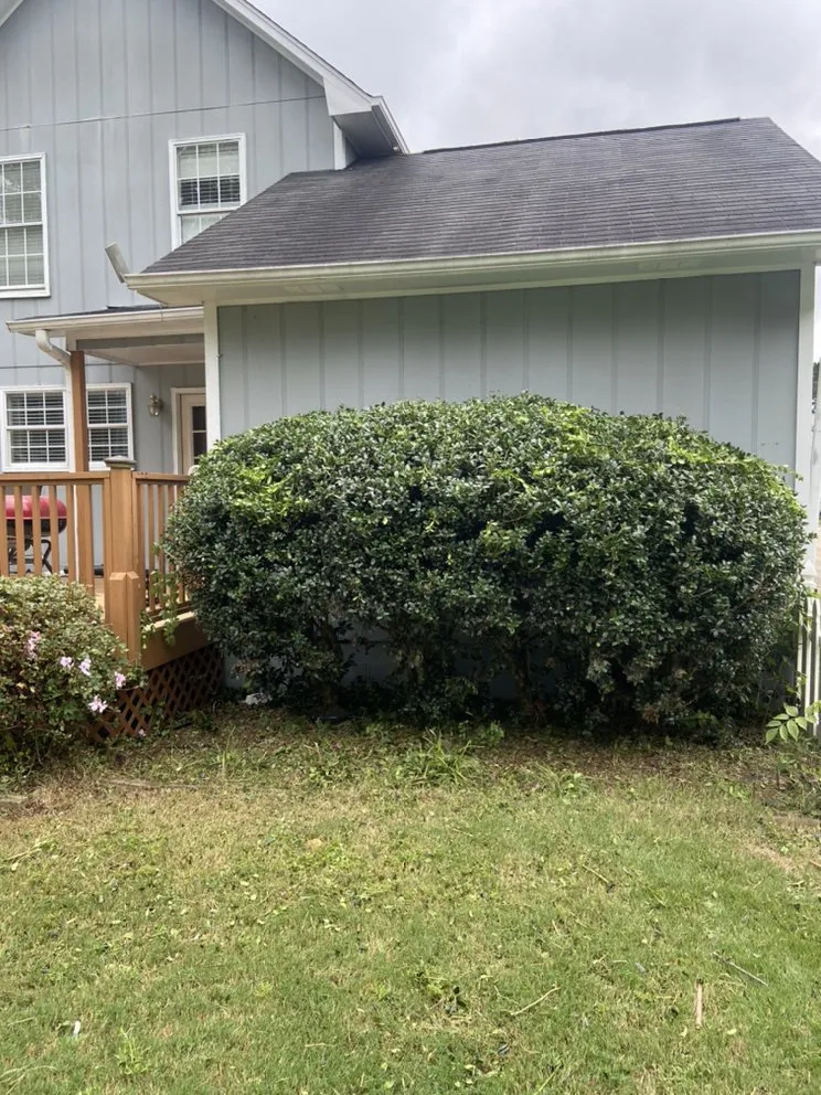 Reliable lawn mowing service in Pinson, AL by Reginald D