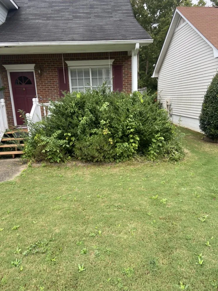 Local garden landscaping experts serving Pinson, AL - Reginald D