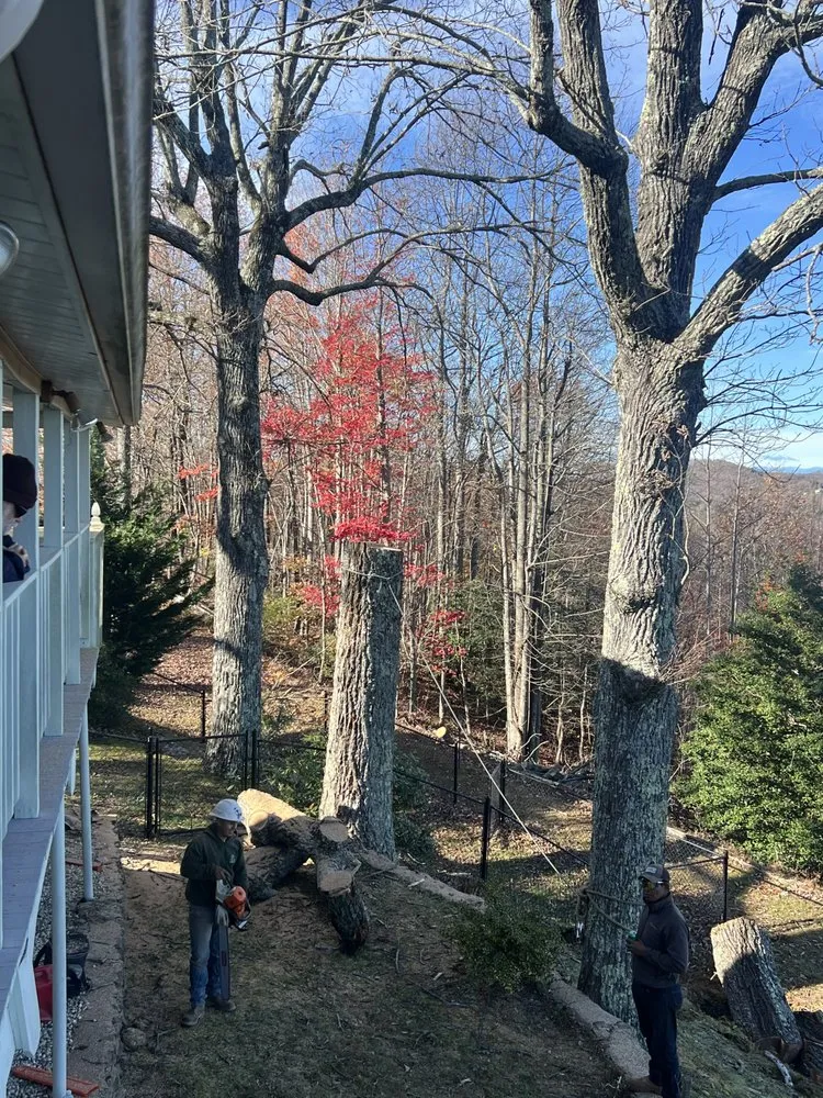 Local landscaping services experts serving Morganton, NC - Regino’s Tree Services