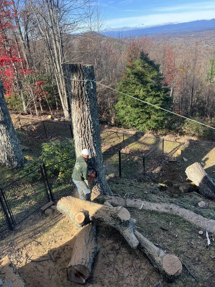 Affordable garden landscaping for beautiful yards across Morganton, NC - Regino’s Tree Services