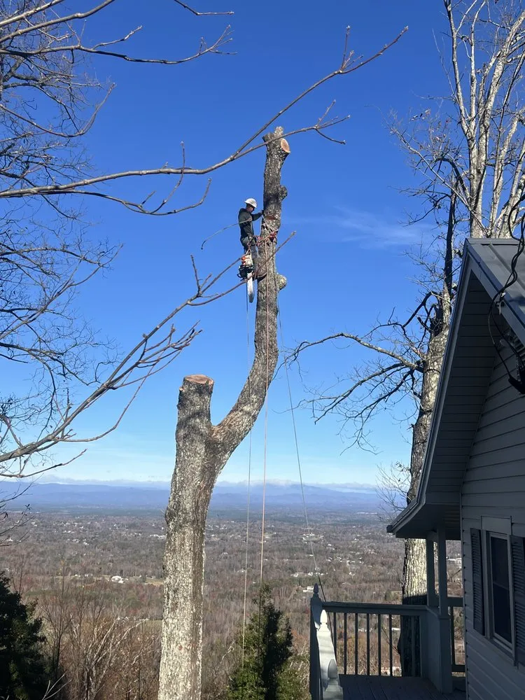 Affordable landscaping services in Morganton, NC by Regino’s Tree Services