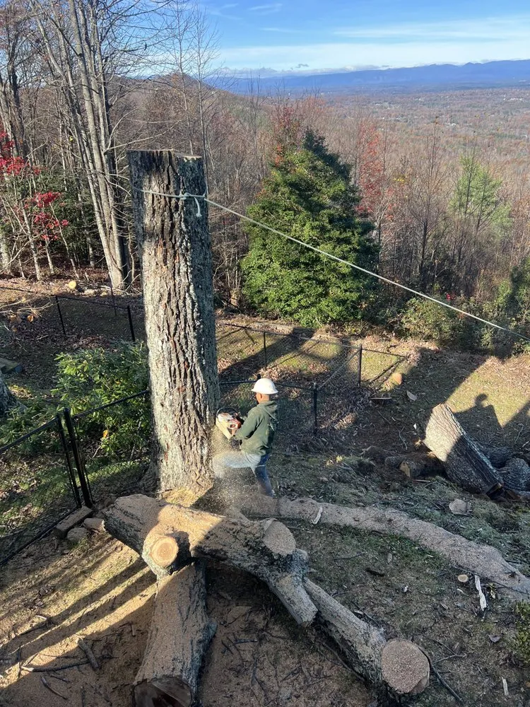 Top-rated residential landscaping for year-round maintenance across Morganton, NC - Regino’s Tree Services