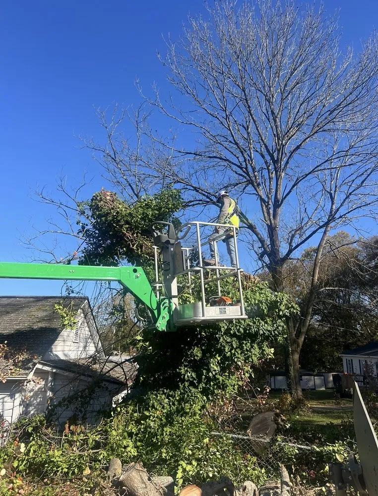 Affordable yard cleanup service for outdoor upgrades across Morganton, NC - Regino’s Tree Services