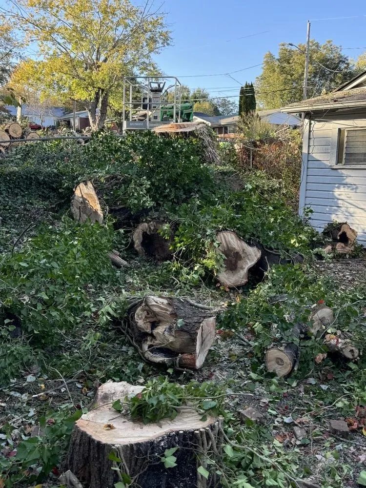 Trusted lawn mowing service experts serving Morganton, NC - Regino’s Tree Services