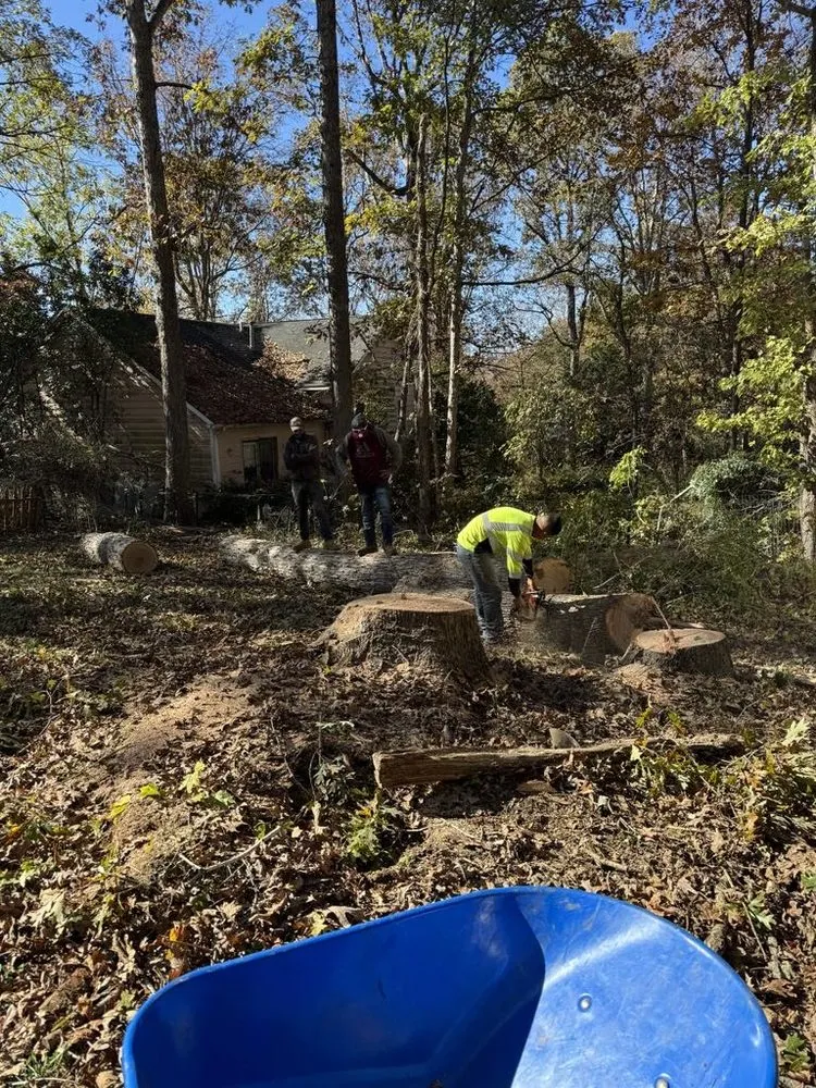 Reliable garden landscaping with custom design in Morganton, NC by Regino’s Tree Services