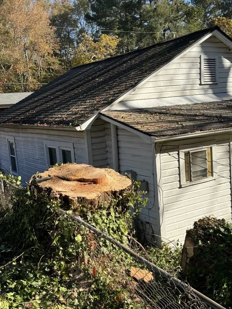 Reliable yard cleanup service in Morganton, NC - Regino’s Tree Services