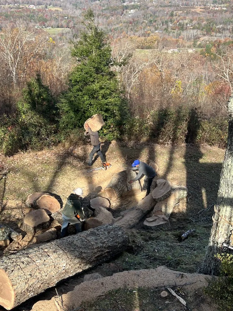 Custom yard maintenance experts serving Morganton, NC - Regino’s Tree Services