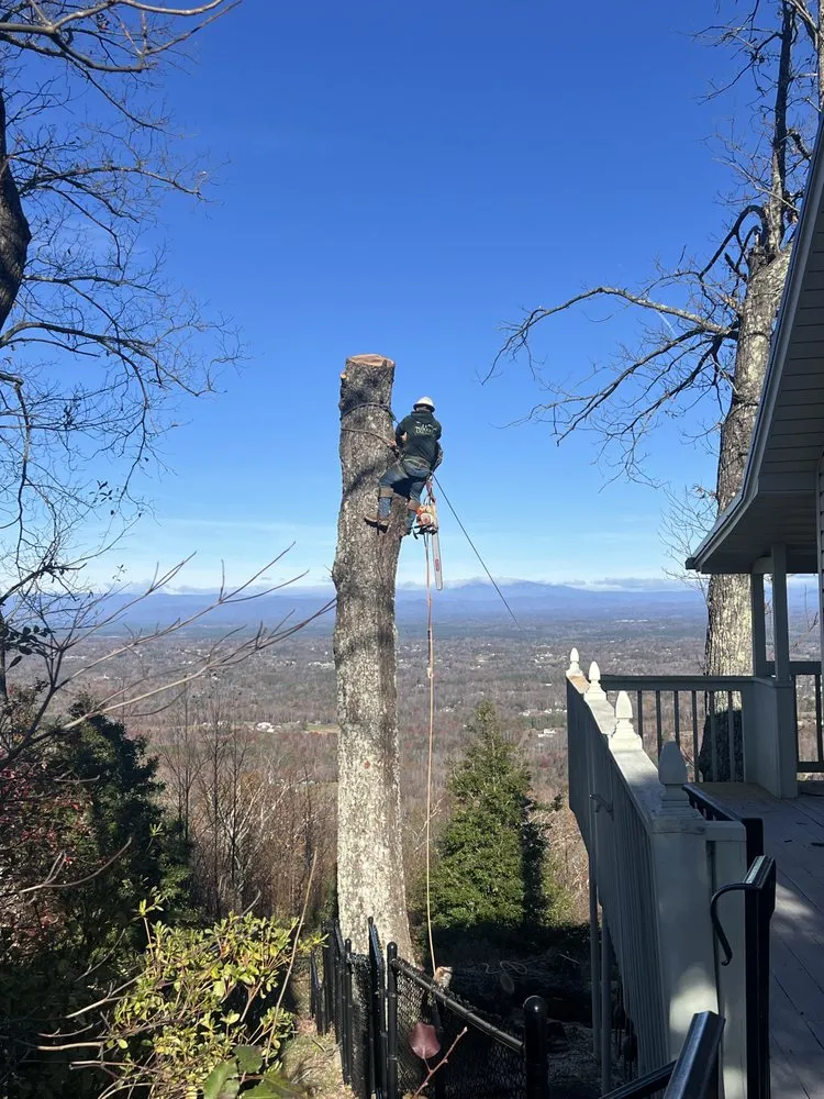 Reliable outdoor landscaping in Morganton, NC - Regino’s Tree Services