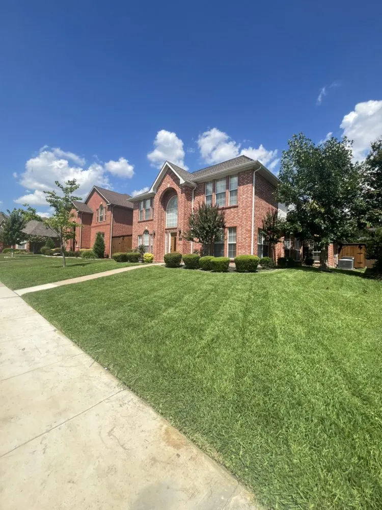 Affordable lawn mowing service for year-round maintenance in Plano, TX by Regio Landscape