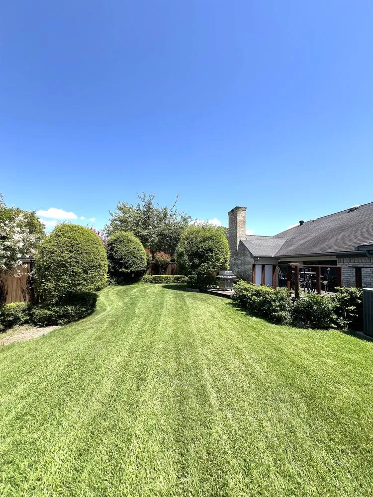 Top-rated yard cleanup service for residential properties across Plano, TX - Regio Landscape