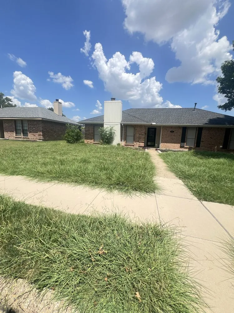 Reliable yard cleanup service in Plano, TX - Regio Landscape