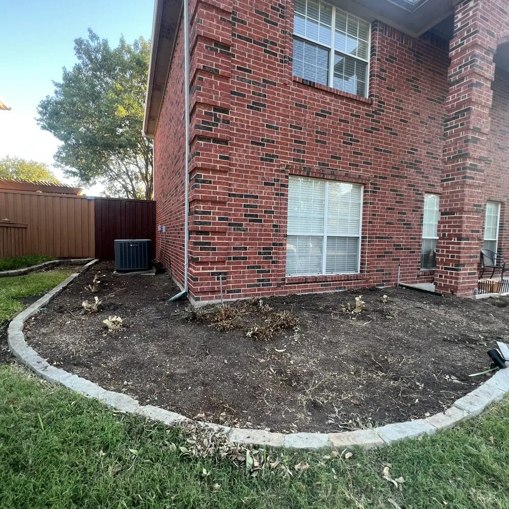 Top-rated landscaping services for year-round maintenance across Plano, TX - Regio Landscape