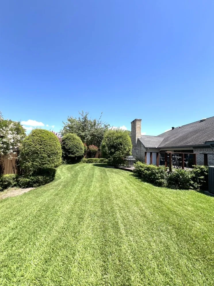 Top-rated lawn mowing service for homes in Plano, TX by Regio Landscape