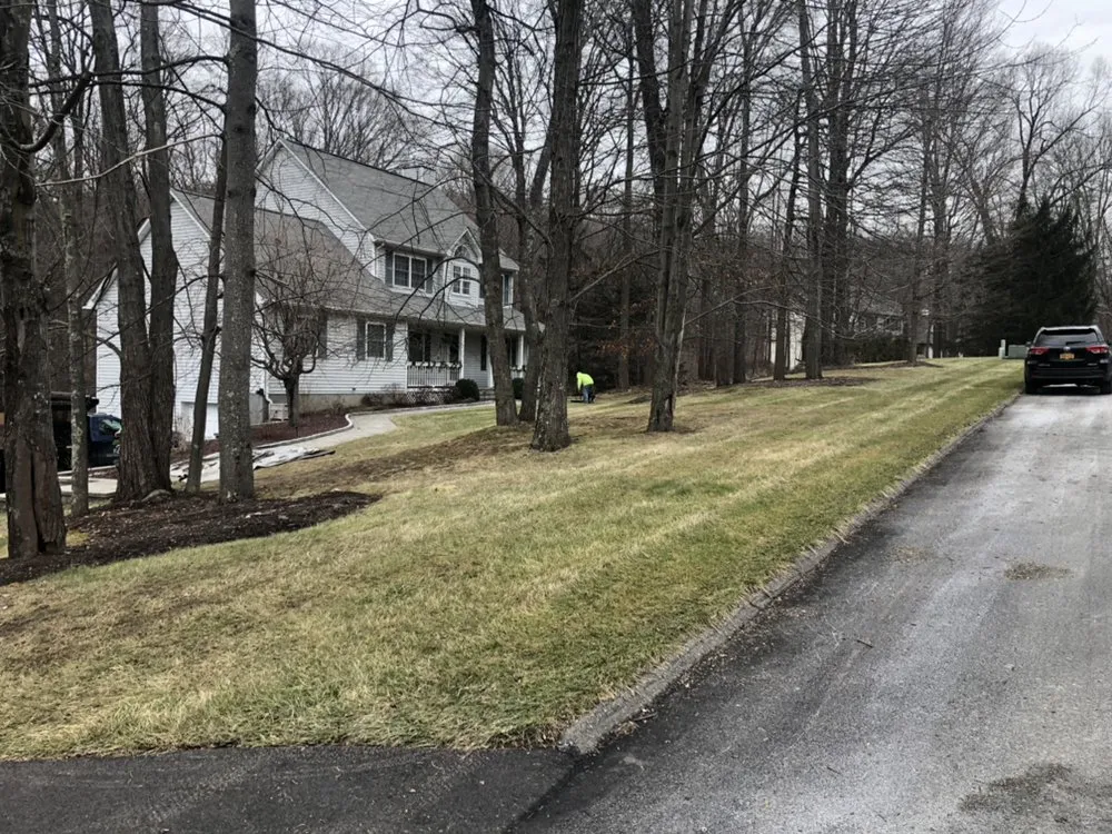 Expert lawn care service with custom design in Brewster, NY by Regional Property Maintenance