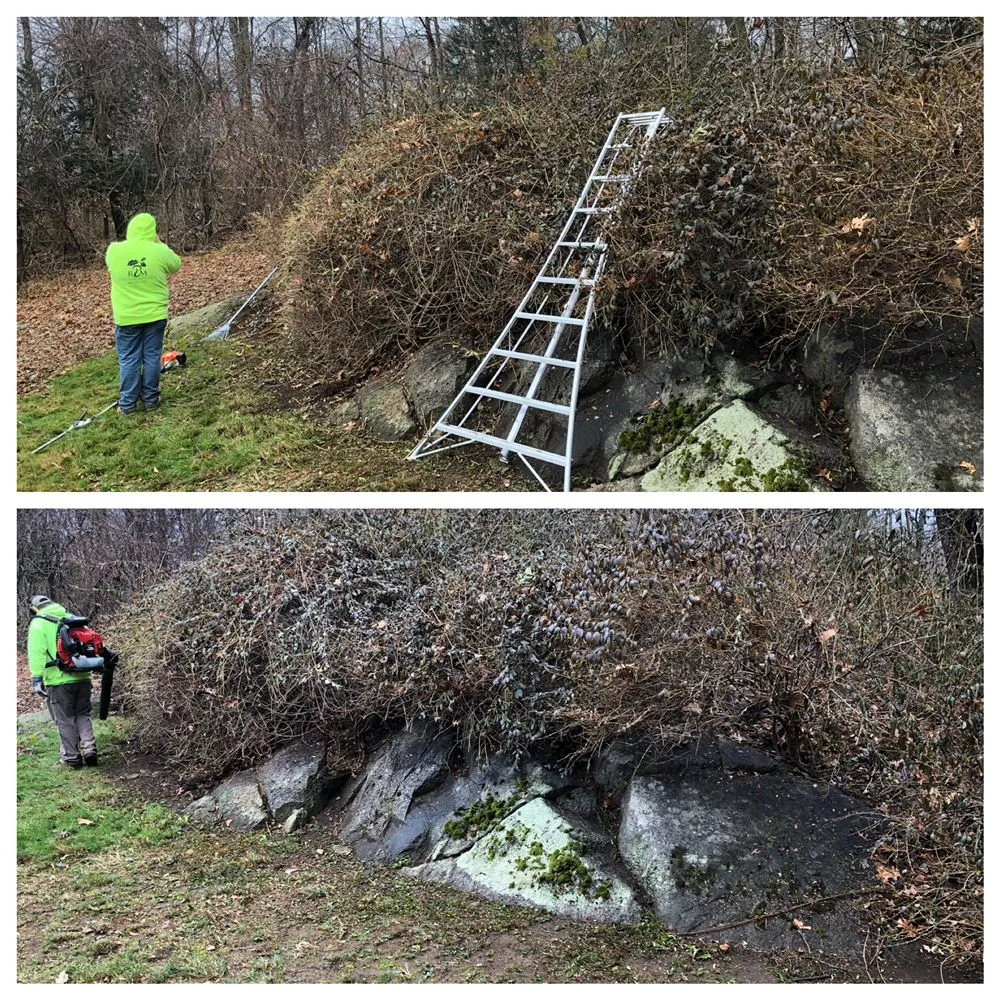 Trusted lawn mowing service in Brewster, NY by Regional Property Maintenance