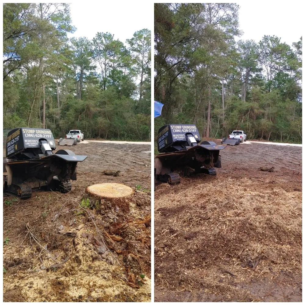 Affordable residential landscaping near you in Wellborn, FL by Registers Land Services