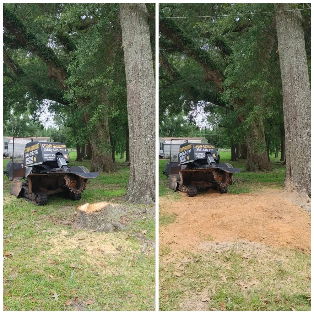 Expert lawn care service in Wellborn, FL - Registers Land Services