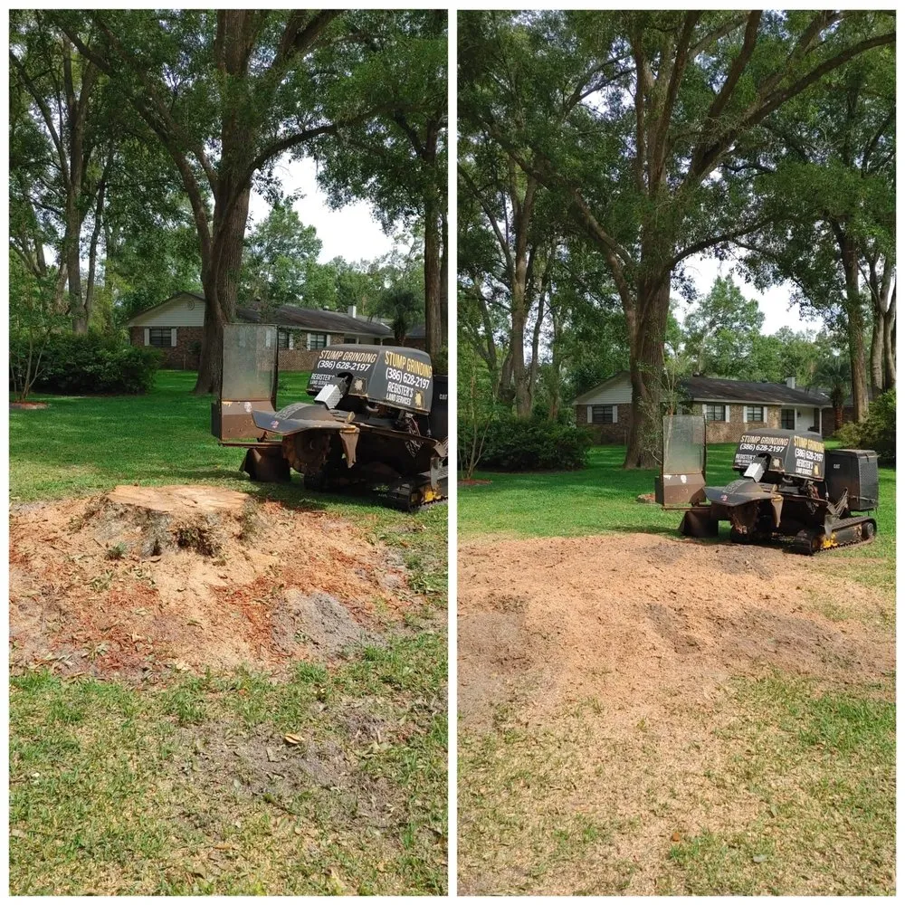 Reliable landscaping services for outdoor upgrades in Wellborn, FL by Registers Land Services