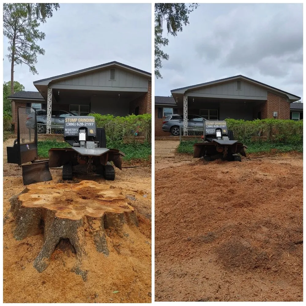 Trusted lawn care service for homes across Wellborn, FL - Registers Land Services