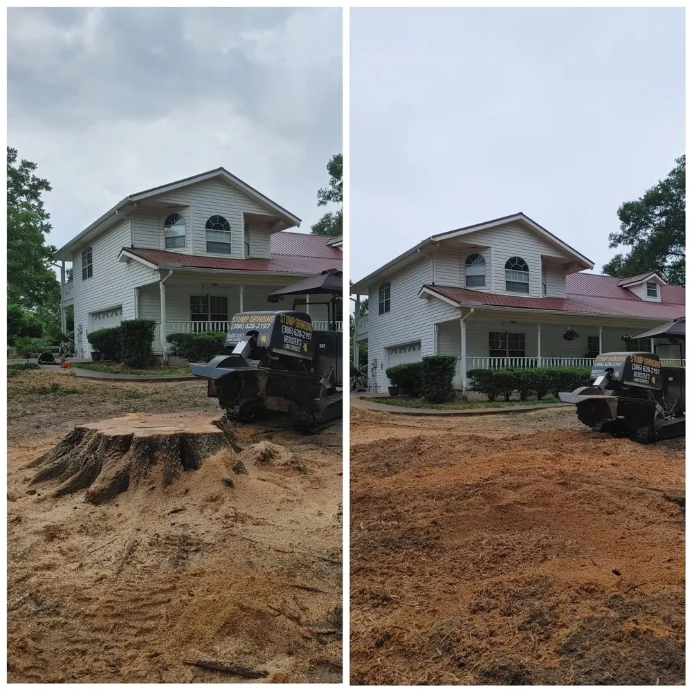 Expert residential landscaping near you in Wellborn, FL by Registers Land Services