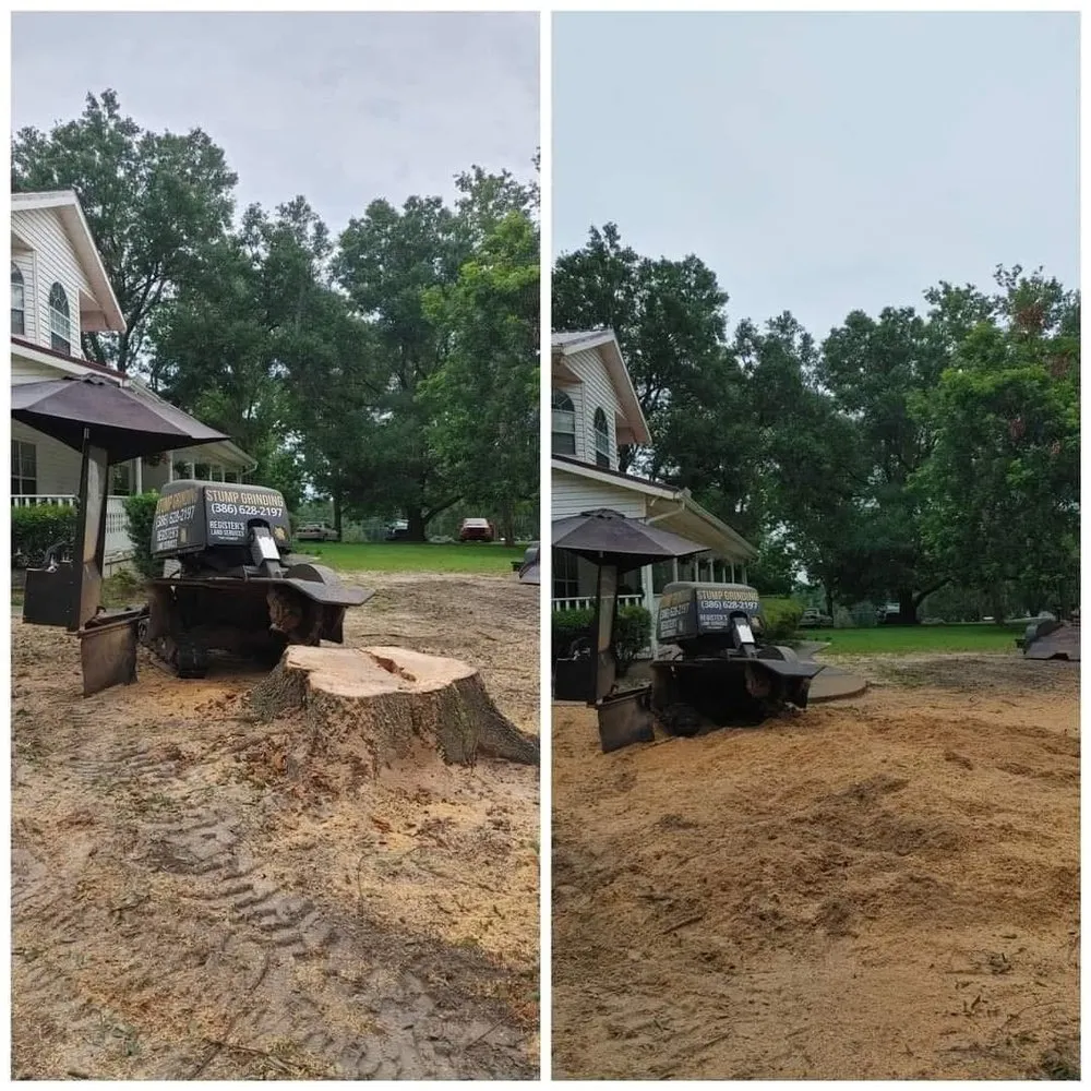 Affordable landscaping services with custom design across Wellborn, FL - Registers Land Services