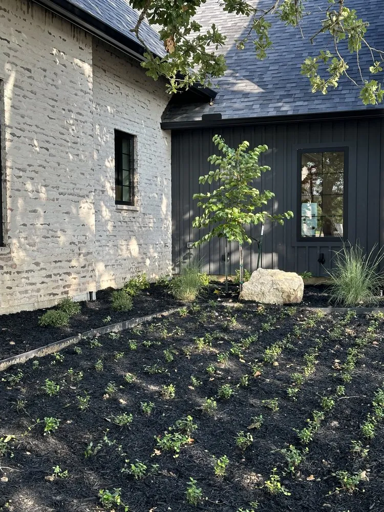 Professional yard cleanup service in Bryan, TX by Regrowth Lawn Care & Landscaping