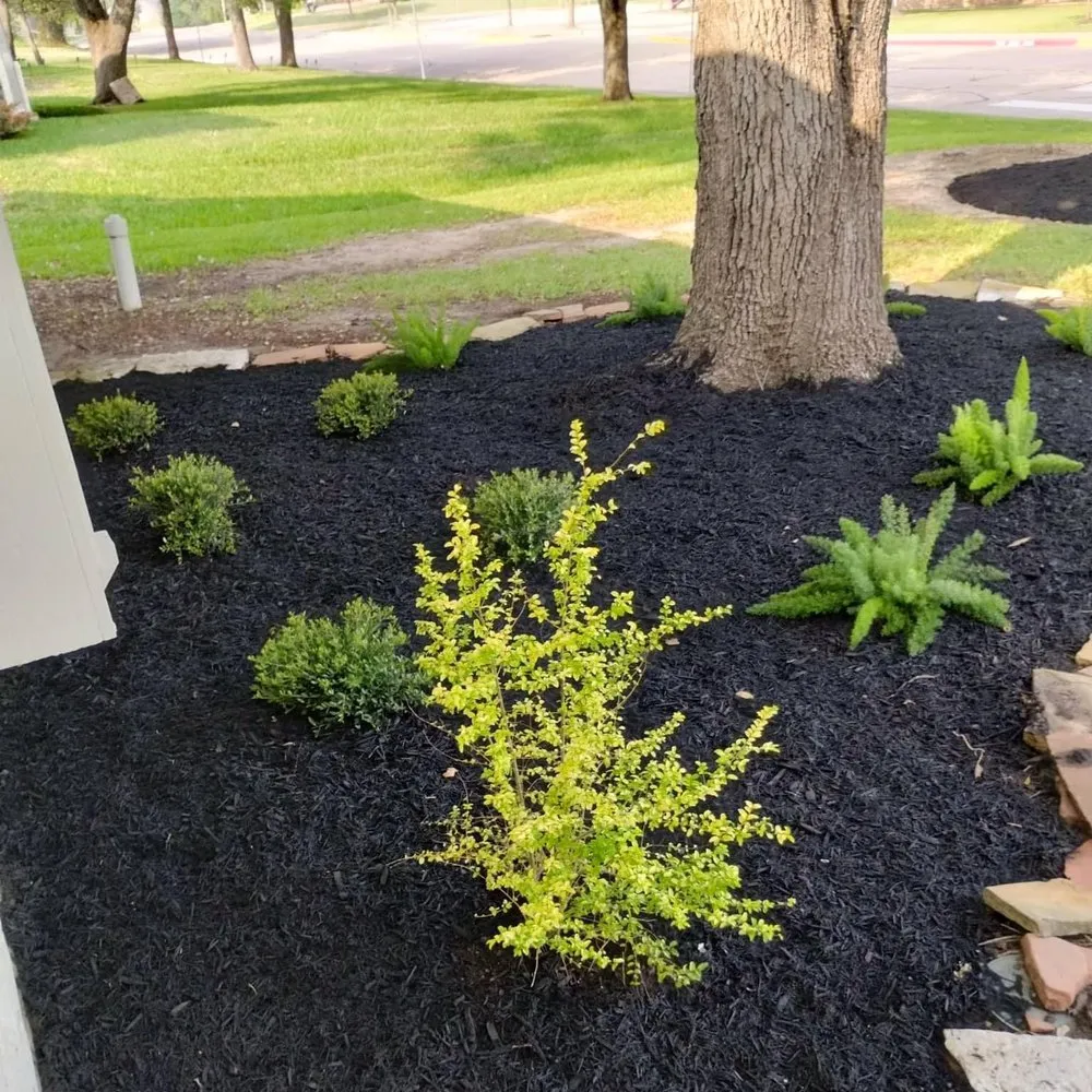 Professional residential landscaping experts serving Bryan, TX - Regrowth Lawn Care & Landscaping