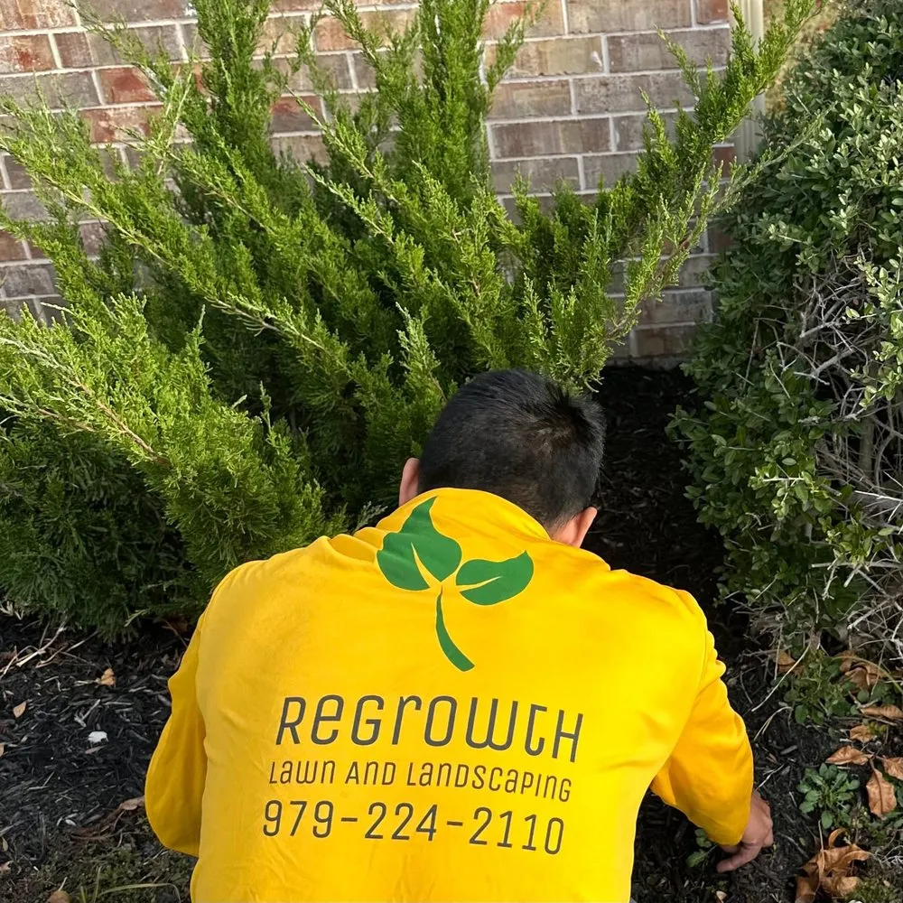 Professional garden landscaping for beautiful yards in Bryan, TX by Regrowth Lawn Care & Landscaping