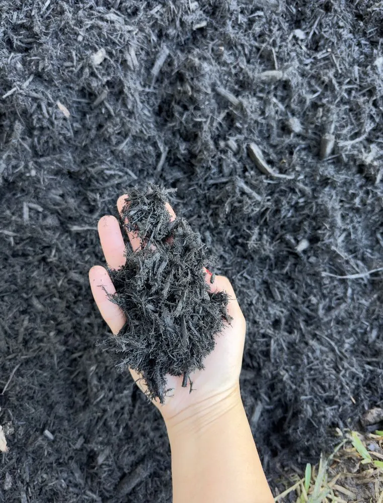 Professional yard cleanup service for outdoor upgrades across Bryan, TX - Regrowth Lawn Care & Landscaping