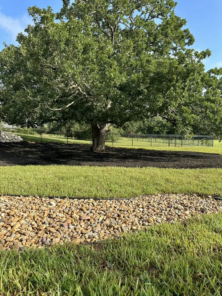 Top-rated yard cleanup service in Bryan, TX - Regrowth Lawn Care & Landscaping